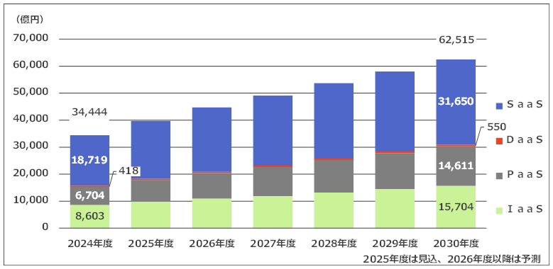 2025 �N���E�h�R���s���[�e�B���O�̌���Ə����W�] �s��ҁF�p�u���b�N�N���E�h�i���\�[�X�񋟁j�̍����s��K�͐��ڃO���t